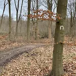 Jonstrupvejens Lejl B * Баллеруп