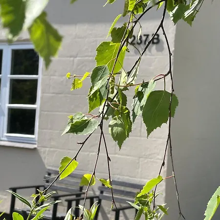 Jonstrupvejens Lejl B * Ballerup