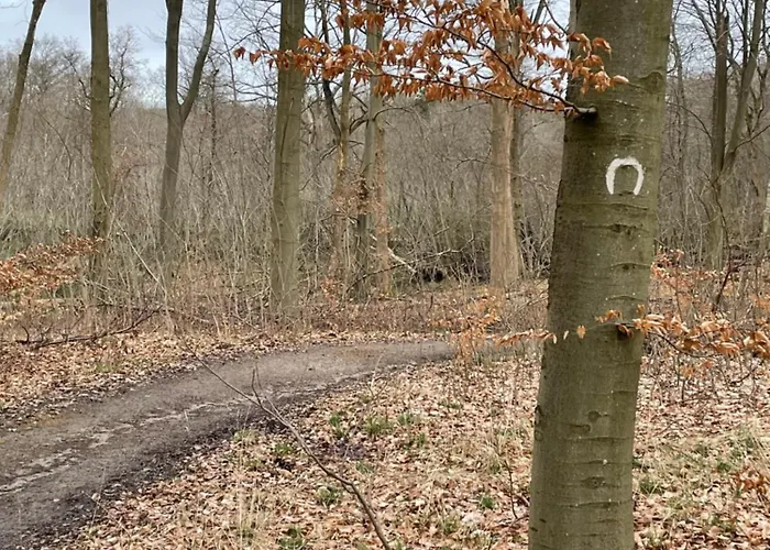 Jonstrupvejens Lejl B * Ballerup